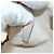 LOEWE Amazona Nano Shoulder Pouch Canvas 2way Beige Gold Auth 206378M Dorado - vista 11