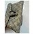 Gucci Dionysus Cartera con Cadena GG Supreme Beige Castaño - vista 5