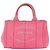 Prada Canapa Handbag/Tote Bag Pink