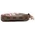Louis Vuitton Brown Damier Ebene Vivienne Holiday Mini Pochette Accessoires Marrone - vista 3