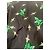Camisa preta com estampado floral Cacharel - vista 5
