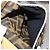 FENDI Celeria Schultertasche aus Leder Beige Silber 8BT113 Auth BA16119 - Ansicht 22