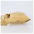 FENDI Celeria Schultertasche aus Leder Beige Silber 8BT113 Auth BA16119 - Ansicht 4