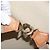 LOUIS VUITTON Monogram Alize de Poche Boston Bag 2way M41392 LV Auth ep16167 Monogramm - Ansicht 28