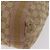 Borsa Tote GUCCI GG Canvas Sherry Line Beige 189669 Auth 206454 - vista 18