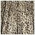 Autre Marque Minigonna Rene in tessuto italiano leopardato Beige - vista 2
