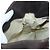 Chloé Chloe Paddington Shoulder Bag Leder 2way Braun Gold Silber Auth BA16069V Golden - Ansicht 26