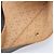 Sac Pochette Christian Dior Canvas Black Gold Auth 207523 Noir Doré - vue 12