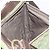 LOUIS VUITTON Monogram Mini Sac Maman Bag TST Khaki M42351 LV Auth ep16254 Cachi - vista 31