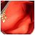 Louis Vuitton Damier Ebene Sistina GM Marrone Rosso - vista 15