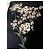 Schwarzes Carolina Herrera Kleid mit Blumenprint - Ansicht 11