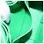 BOTTEGA VENETA MAXI INTRECCIATO Candy Cassette Bag Leather Green - vista 20