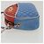GUCCI Horsebit Pochette Shoulder Bag Lamb Skin Red Blue 534951 - vista 4