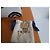 Louis Vuitton Speedy Bandouliere 25 Monogram wild at heart Marrone Nero Rosa Bianco - vista 14