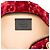 Pouch Gucci Red GG Velvet Rajah Rosso - vista 5