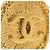 Orecchini a clip rotondi Sunburst Chanel Gold CC placcati in oro D'oro - vista 13