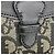 Sac cabas Christian Dior Trotter Canvas Noir Beige - vue 12