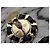 Orecchini a clip Chanel CC in oro B18K e pelle nera Nero D'oro - vista 16