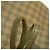 Borsa Tote Louis Vuitton Damier Neverfull MM N51105 Ebene Damier ebene - vista 11