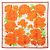 Hermès Carré 90 Les Pivoines Foulard Peonies Arancione