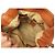 BORSA A MANO LANCEL PREMIER FLIRT MM A02174 PELLE GRANA CAMEL TRACOLLA BAG 750 - vista 6