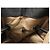 BORSA A MANO LANCEL PREMIER FLIRT MM A02174 IN PELLE GRANA CON TRACOLLA Nero - vista 16