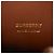 Borsa a mano Burberry Micro Francis TB Logo Marrone Crudo - vista 11