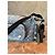 Borsa a tracolla Coach Monogram Denim Blu Blu chiaro - vista 2
