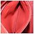 Céline CELINE Luggage Mini Shopper Hand Bag Leather Red Gold Tone Auth LN095V Rosso - vista 23