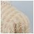 Chaqueta sin cuello CHANEL de tweed 40 Ivory Gold CC Auth 207912M - vista 10