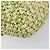 Borsa a tracolla FENDI Mamma Baguette in paglia Green Silver Auth BA15846SAV Argento Verde - vista 13