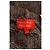 Cárdigan marrón Vivienne Westwood Castaño - vista 5
