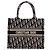 Dior Small Book Tote aus blauer Oblique Canvas