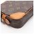 Borsa a Pochette Louis Vuitton Marly Dragonne PM Marrone - vista 11