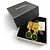 Orecchini Chanel Vintage 95A Coco Mark Gripoix Swing D'oro Verde - vista 2