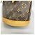 Borsa Tote Louis Vuitton Monogram Bucket PM Marrone - vista 7