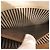 Clutch a Busta Chameleon Fendi in pelle bicolore beige - vista 7