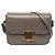 Céline Celine Brown Teen Shiny Calfskin Triomphe Crossbody