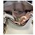 Gucci GG Marmont Patent Small Blanco - vista 6