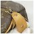 Bolsa Louis Vuitton Monogram Speedy 40 Marrom - vista 7