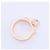 Hermès Hermes Collier de Chien Ring 750(PG) 6.5g 50 21AK270306 Golden - view 14