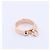 Hermès Hermes Collier de Chien Ring 750(PG) 6.5g 50 21AK270306 Golden - view 5