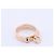 Hermès Hermes Collier de Chien Ring 750(PG) 6.5g 50 21AK270306 Golden - view 6