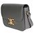 Céline Borsa Celine Teen Triomphe in pelle di vitello martellata e liscia Marrone - vista 3