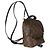 Louis Vuitton Monogram Canvas Mini Palm Springs Marrone - vista 4