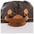 Louis Vuitton Palermo PM Monogram Canvas 2Way Handbag in Brown M40145 - vue 6