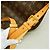 Sac banane Louis Vuitton Monogram Brown - vue 7