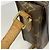 Bolsa de Ombro Louis Vuitton Monogram Mini Saint Cloud - vista 10