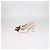 Décolleté Slingback Bepointy in pelle Avorio e Marrone Valentino - vista 4