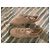 Alexander McQueen Sneakers en Cuir Blanc et Daim Beige - vue 12